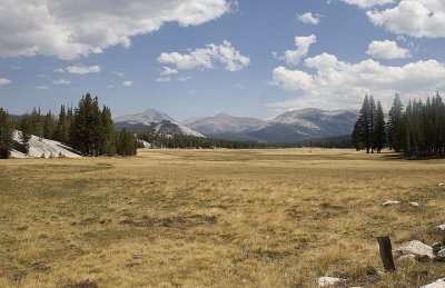 Tuolumne Meadows from the west