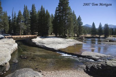 Lyell fork upstream