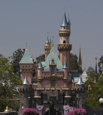 Disney Castle