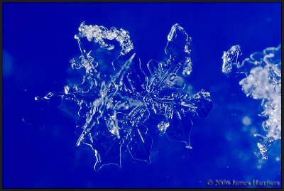 Snowflakes IV