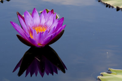 150mm 2