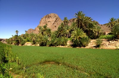 Oasis de Fint