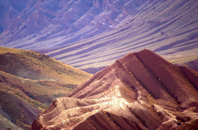 Valle des Roses