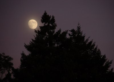 the_moon