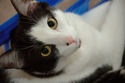 DSC_74111.jpg