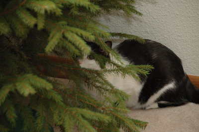 DSC_74441.jpg