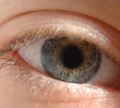 DSC_8804.jpg