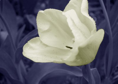 10-jan-07