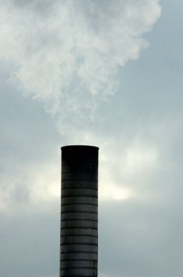 DSC_94251.jpg