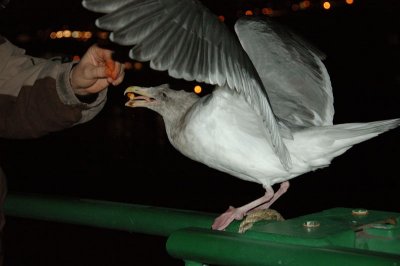 DSC_96991.jpg