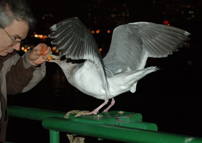 DSC_97101.jpg