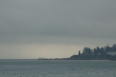 DSC_98541.jpg