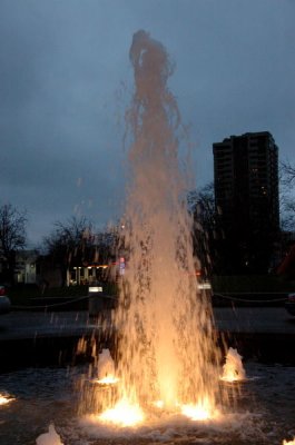DSC_0174.jpg