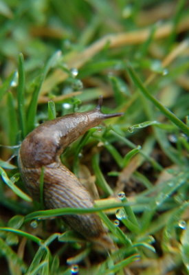 DSC_0451.jpg