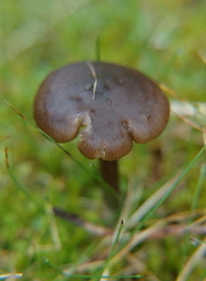 DSC_0472.jpg
