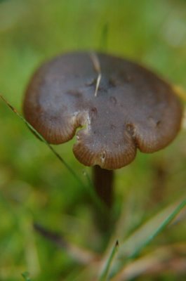 DSC_0473.jpg