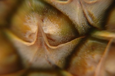 DSC_0544.jpg
