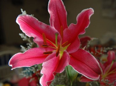 DSC_0838.jpg