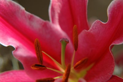 DSC_0839.jpg