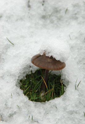 DSC_1058.jpg