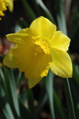 DSC_1568.jpg