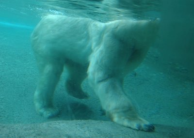 DSC_1985.jpg