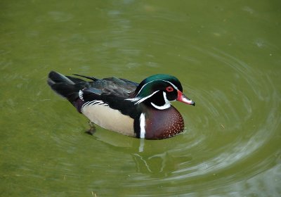 DSC_1942.jpg