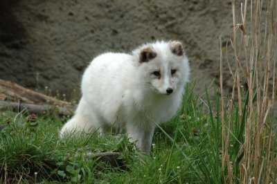 DSC_1958.jpg