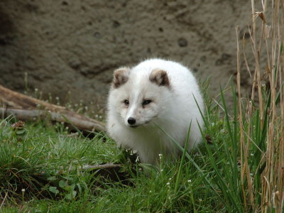 DSC_1959.jpg