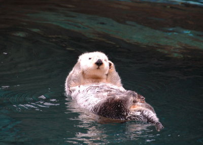 DSC_2009.jpg