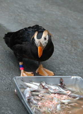 DSC_2025.jpg