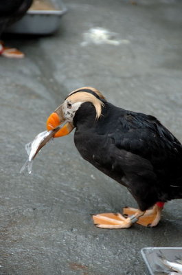 DSC_2031.jpg