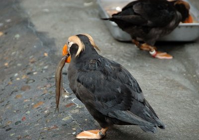 DSC_2032.jpg