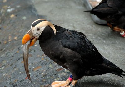 DSC_2033.jpg