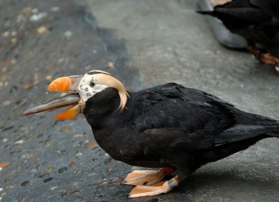 DSC_2035.jpg