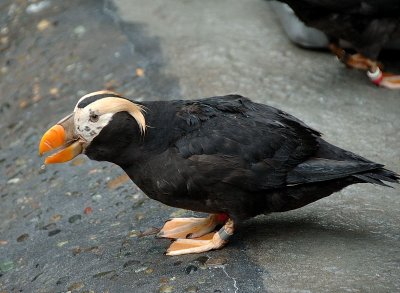 DSC_2037.jpg