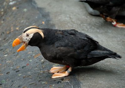 DSC_2038.jpg