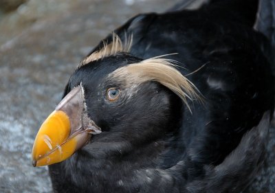 DSC_2040.jpg