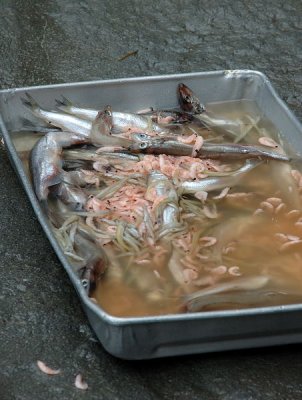 DSC_2045.jpg