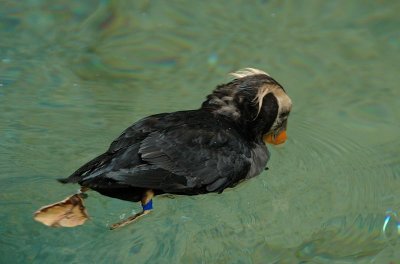 DSC_2049.jpg