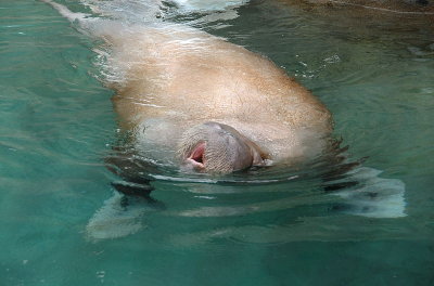 DSC_2078.jpg