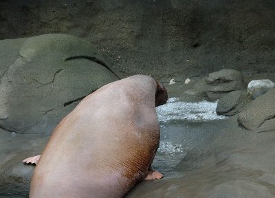 DSC_2091.jpg