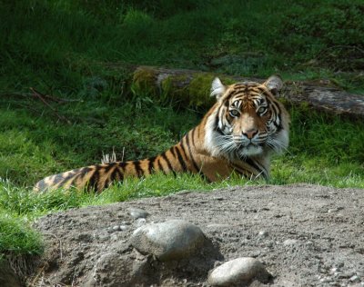 DSC_2405.jpg