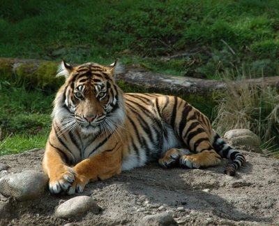 DSC_2413.jpg