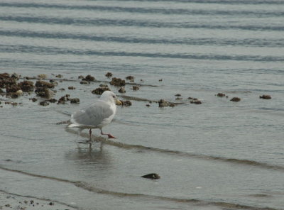 DSC_3324.jpg