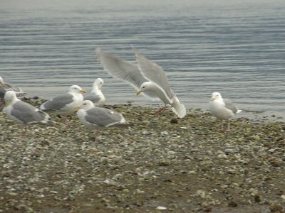 DSC_3344.jpg
