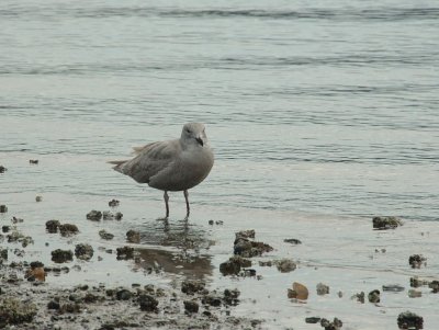 DSC_3346.jpg