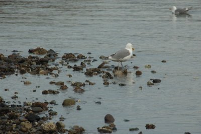 DSC_3355.jpg