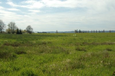 DSC_3707.jpg