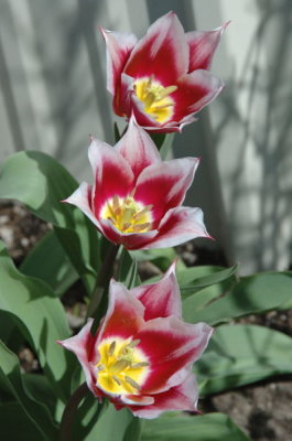 DSC_3713.jpg